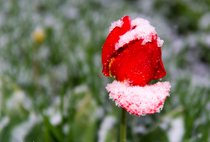 Routt County in photos: May 21. 2013
