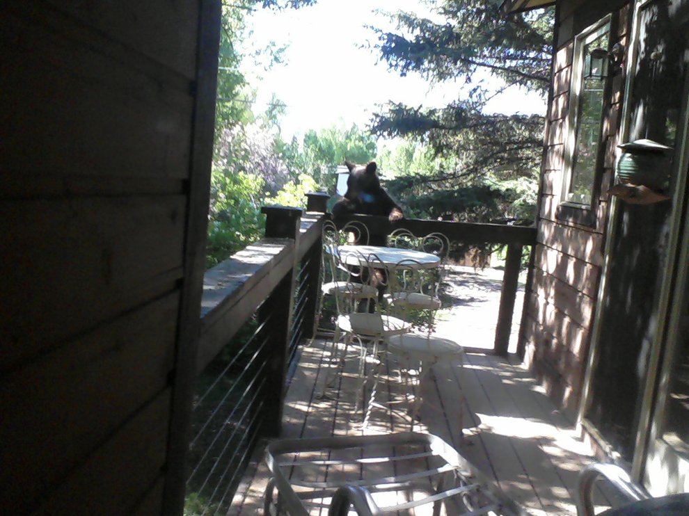 photo thumbnail