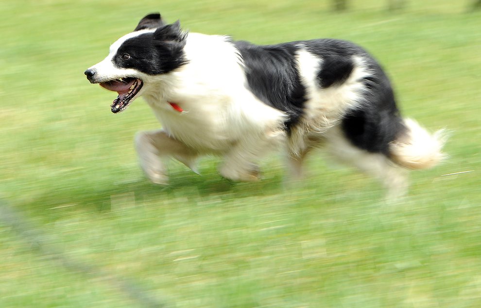 photo thumbnail