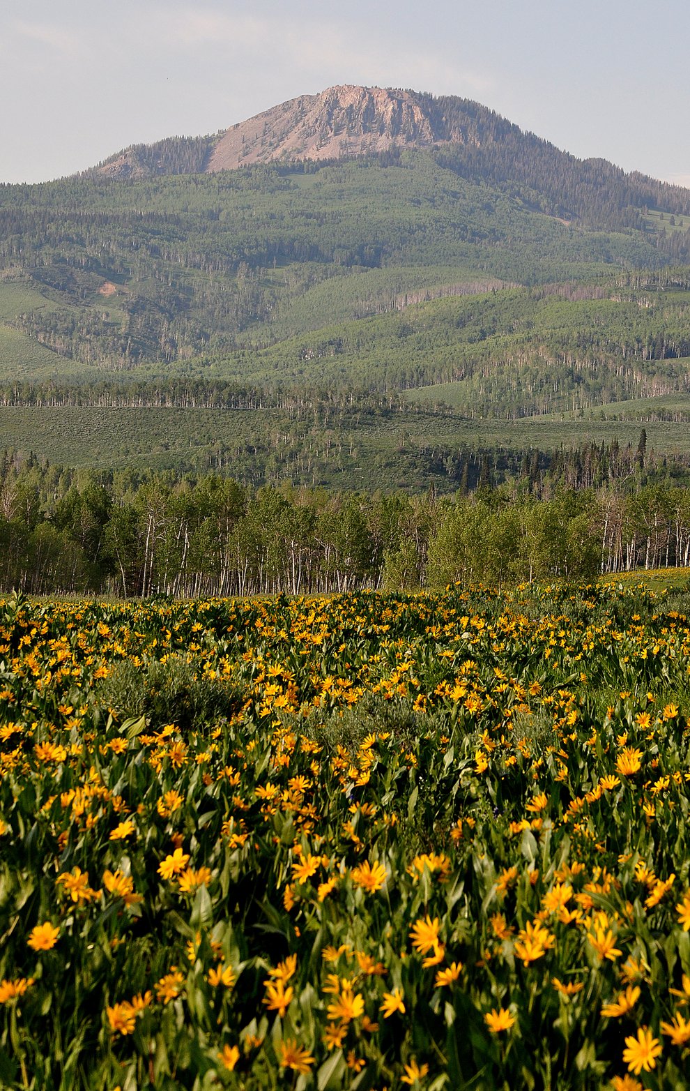 Jeep tours steamboat springs #2