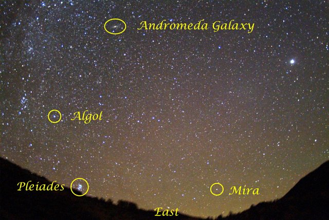 how many stars are visible to the naked eye cannibal fantasy fetish