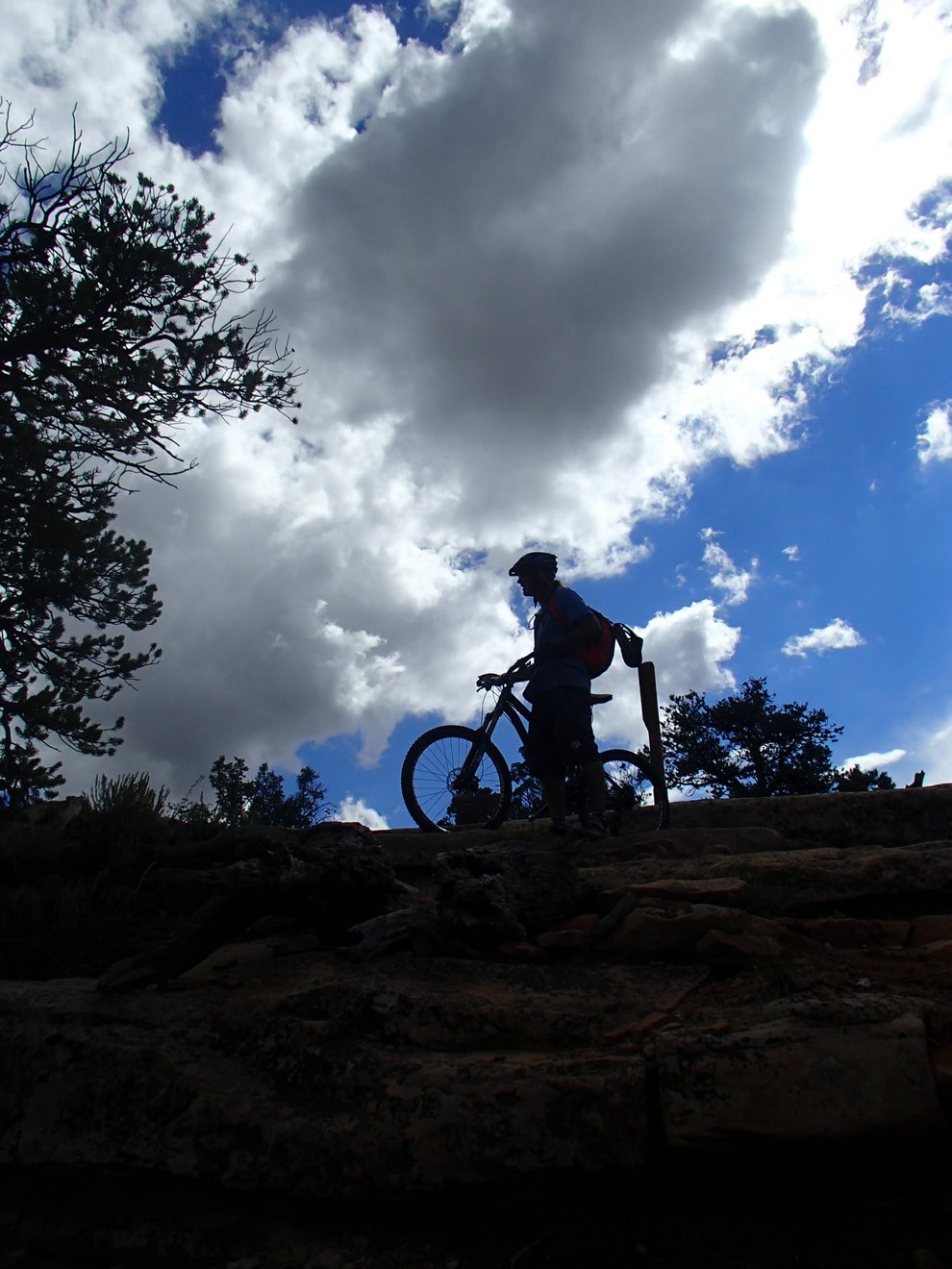 photo thumbnail