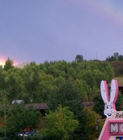 photo thumbnail