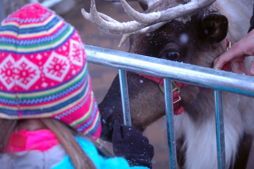 photo thumbnail