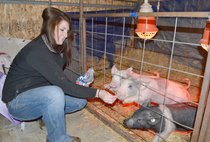 Moffat County 4-H Youth and their livestock