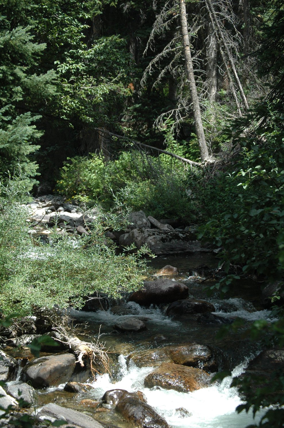 photo thumbnail