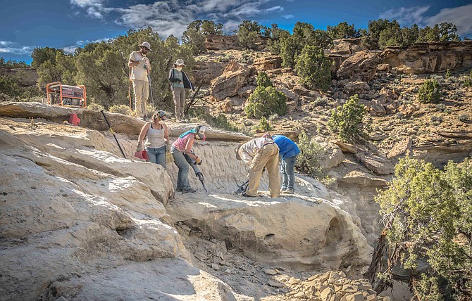 current dinosaur dig sites