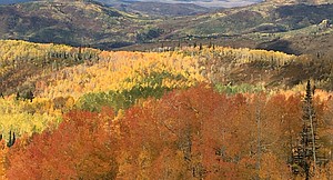Routt County in photos: Sept. 25, 2016