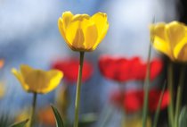 Focal Points for May 7 to 13