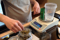 Recreational marijuana sales arrive in Steamboat Springs