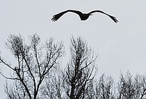 Focal Points for Feb. 24-March 2